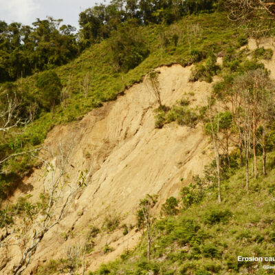 Erosion from over-grazing